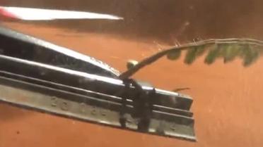 Бразильские полицейские на автомобиле протаранили самолет наркобаронов