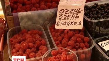 В Украину рискует попасть зараженная малина из Европы