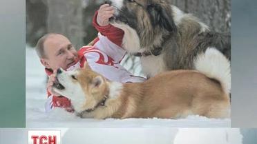 Путин устроил фотосессию со своими собаками в снегу