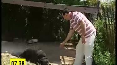 Гришко сожалеет, что подписал 25-летний контракт с американской студией