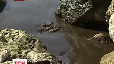 На Севастопольском пляже появилось масляное пятно