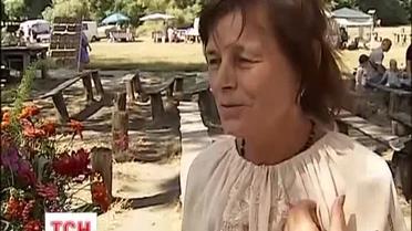 В Украине исчезают целебные полевые цветы