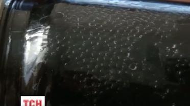 В поездах массово продают фальсифицированную икру