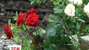 В Крыму главврача заподозрили в превышении власти