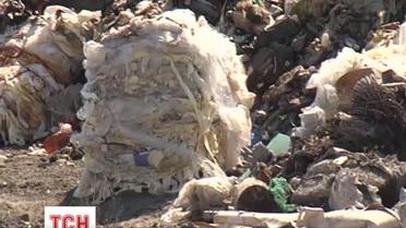 Жители села под Киевом запретили свозить им мусор