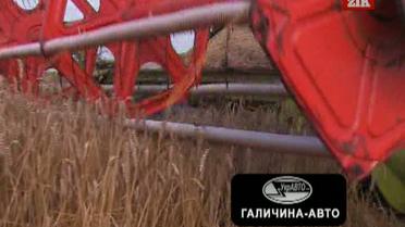 Убыточность производства зерна в этом году станет рекордным