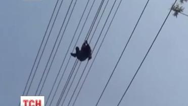 В Китае пьяница спал на высоковольтных проводах