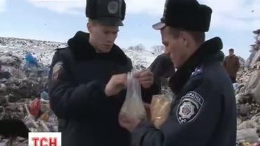 От мороза страдают сотни аистов на Тернопольщине