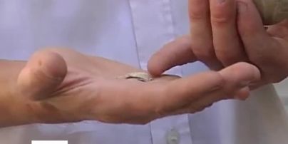 У Львові знайшли писанку, якій 500 років