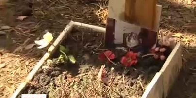 У Києві невідомі спустошили кладовище тварин