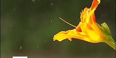 Штормове попередження оголошено для половини України