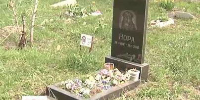 У Києві можуть знести найбільше кладовище для тварин
