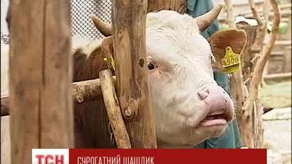 В Україні м'ясо може стати недосяжним делікатесом