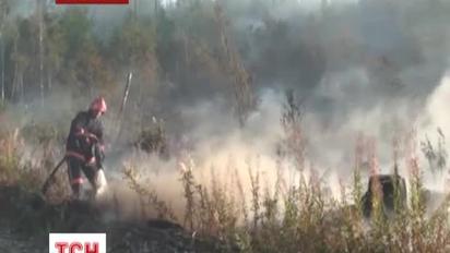 На Прикарпатті вже добу горить ліс