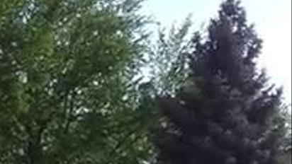 Відео пожежі в гуртожитку Харкова: палають всі поверхи