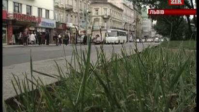 У Львові зафіксували порушення у діяльності головного міського перевізника