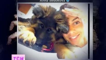 ТСН.Особливе уважно стежить за зірковими балачками в соцмережах