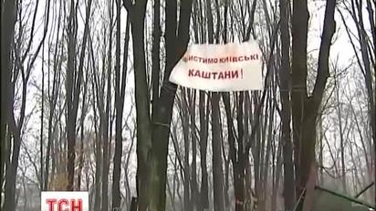 Доля Сирецького гаю у Києві знову у підвішеному стані