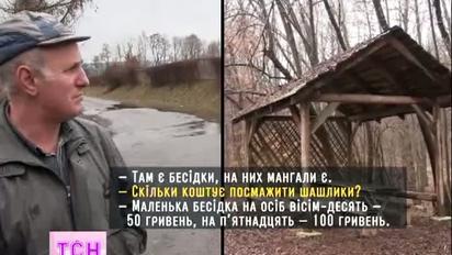 Родина Шуфрича має ласі шматки землі в Закарпатті