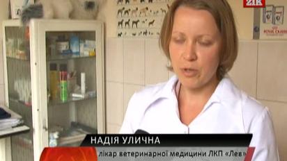 Комунальники Львова заробляють двічі на трупах домашніх улюбленців