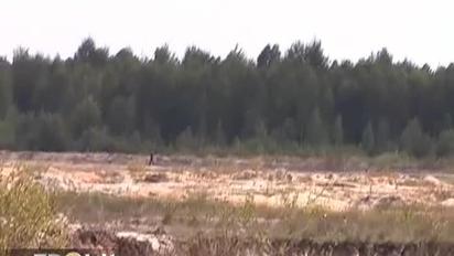 Українські контрабандисти вивозять з країни тони "сонячного каменю"