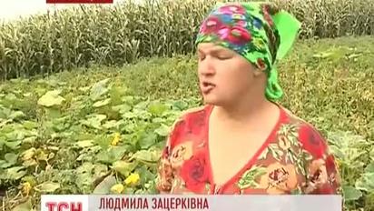 На Житомирщині два села покропили отрутою