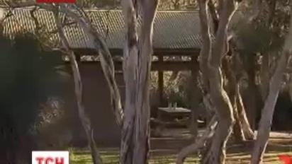 Кенгуру врятувала 7-річного хлопчика, який загубився в заповіднику