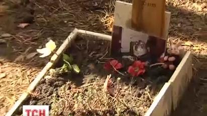 У Києві невідомі спустошили кладовище тварин
