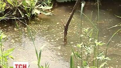 На Луганщині люди у 30-градусну спеку опинилися без води