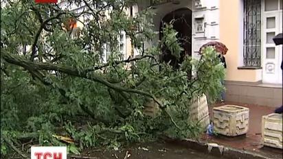 Рух у центрі Києва паралізувало трухляве дерево