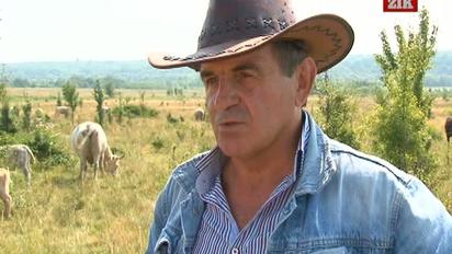 Депутати на Львівщині обкрадають дітей
