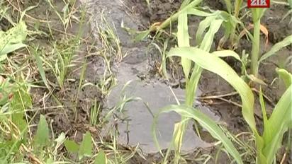 Село Озеряни йде під воду