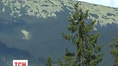 Лікарі радять рятуватись в горах від цвітіння рослин