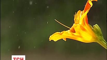 Штормове попередження оголошено для половини України