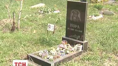 У Києві можуть знести найбільше кладовище для тварин