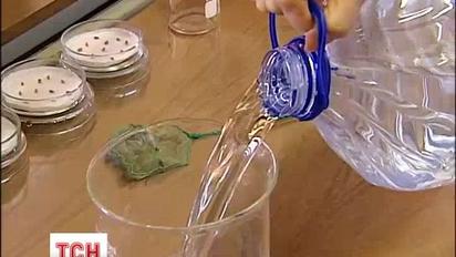 ТСН з'ясувала, яку воду краще пити, щоб довше жити