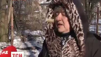 У Глевасі вирубують парк під забудову