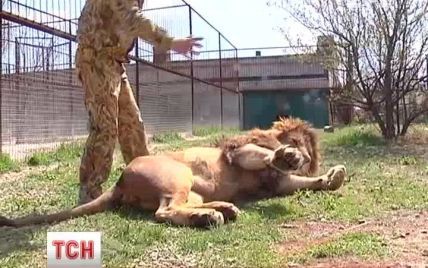 У Криму леви з'ясовують стосунки