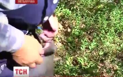 Українці обурені введенням податку на збирання ягід, грибів та горіхів