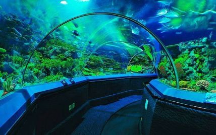 У Київському зоопарку відкриють розкішний океанаріум до 2014 року