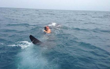 Підліток осідлав 9-метрову акулу і верхи прокотився на ній (відео)