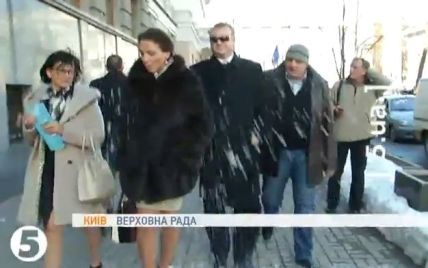 У Києві знайшли цапа-відбувайла за снігову атаку на регіоналок