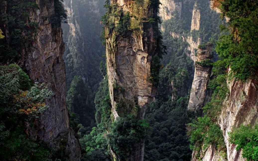 Парк Аватар / © mb-world.livejournal.com