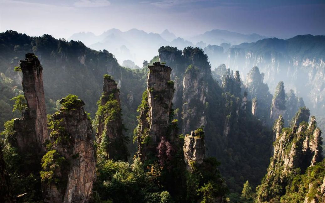 Парк Аватар / © mb-world.livejournal.com