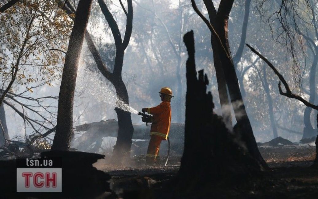 В Австралії не можуть приборкати лісові пожежі / © Фото EPA/UPG