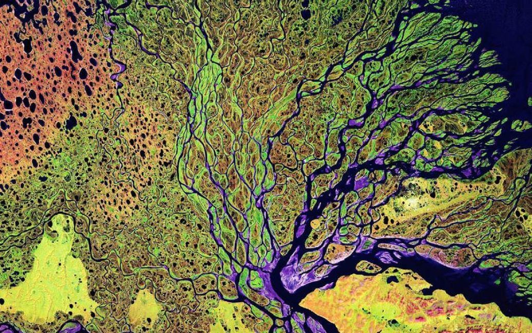Дельта ріки Лени у Росії. / © NASA