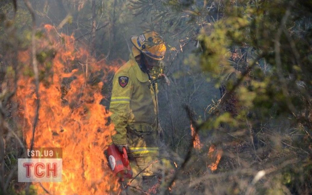 В Австралії не можуть приборкати лісові пожежі / © Фото EPA/UPG
