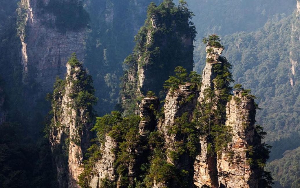 Парк Аватар / © mb-world.livejournal.com
