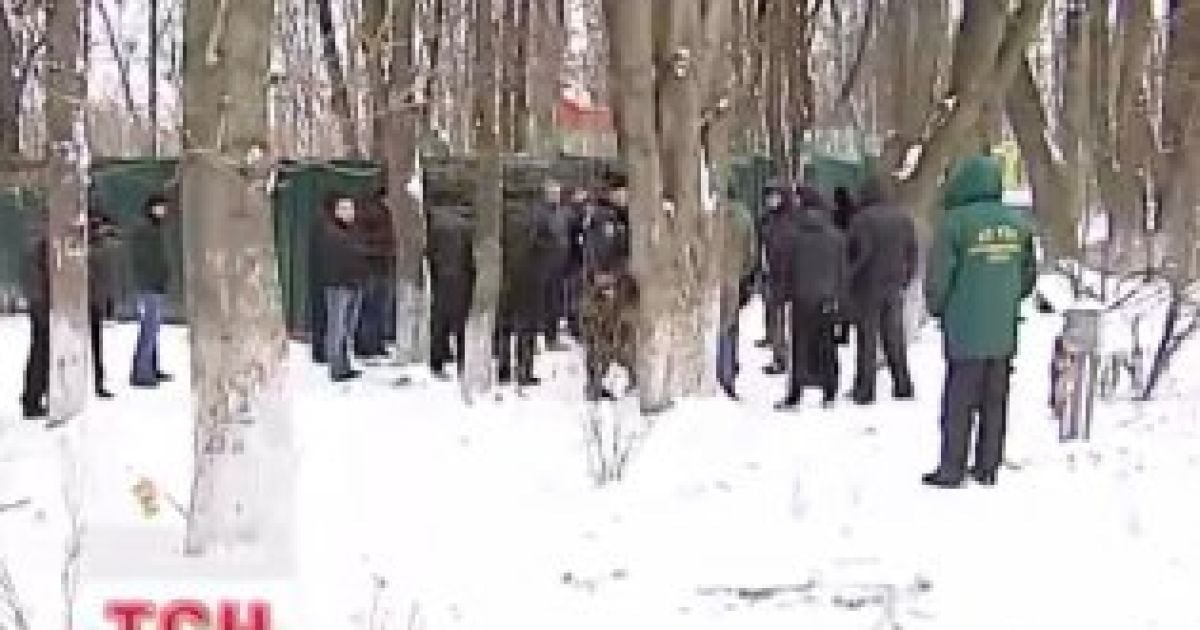 Піввіковий каштановий гай опинився під загрозою