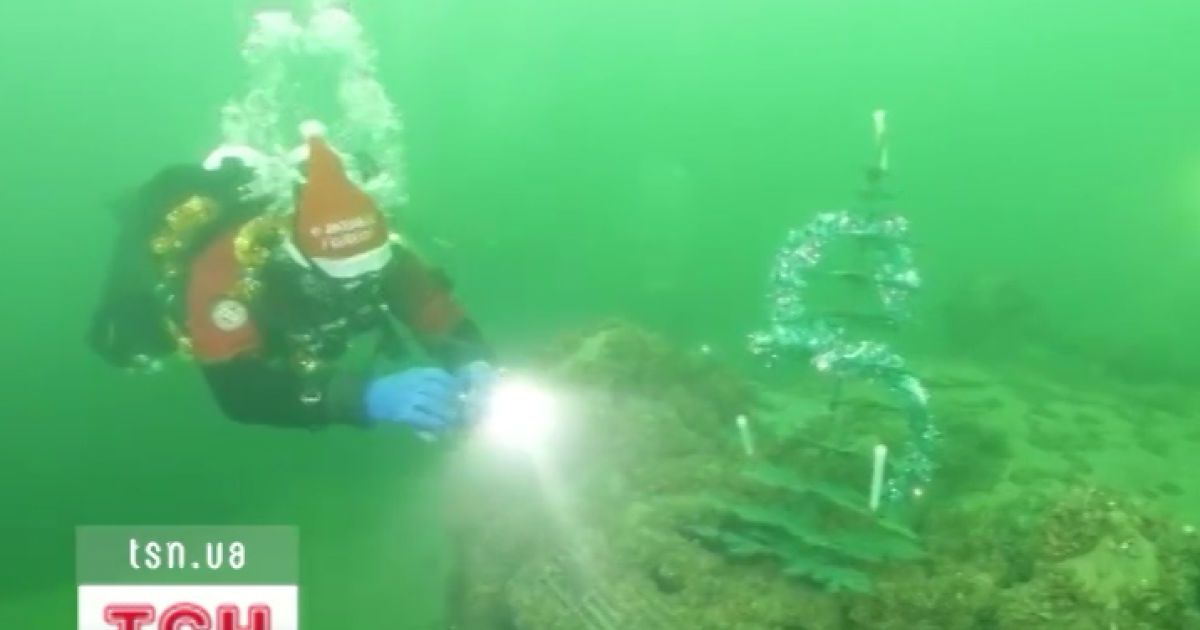 Свято відбулось у підводному парку